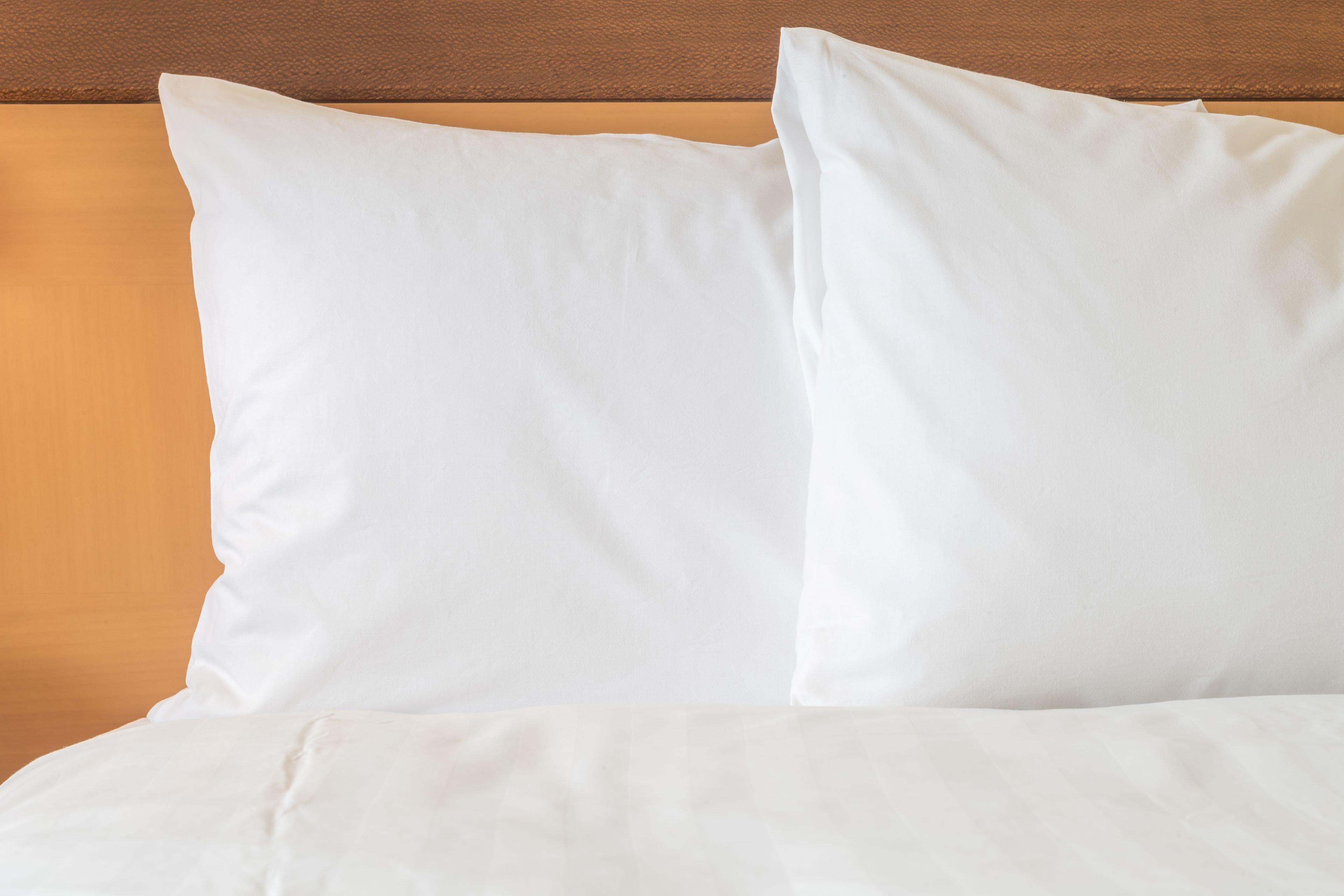 Holiday Inn Express Florence Northeast By Ihg Eksteriør billede